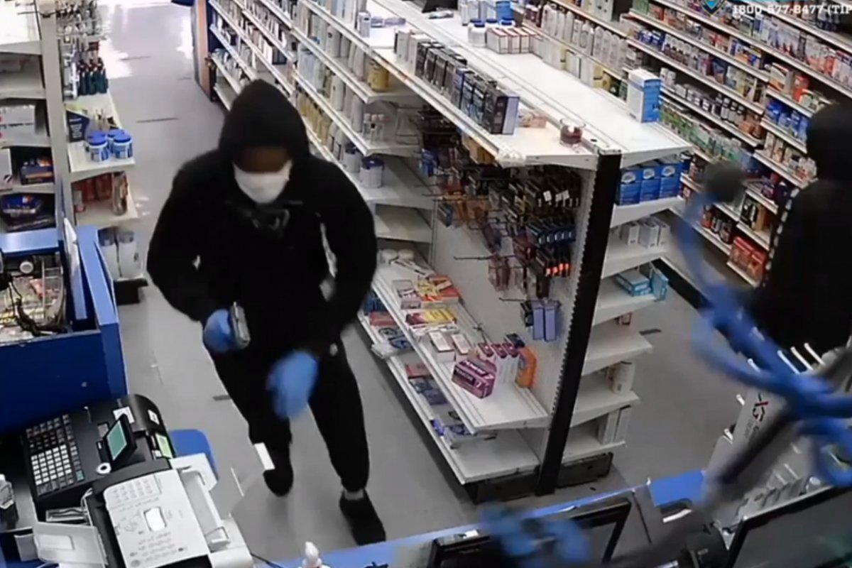 Small dog helps foil robbery at Brooklyn pharmacy
