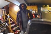 Video shows burglars who stole $10k from NYC home, police say