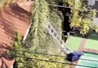 Burglar falls into pool at Southern California home while trying to escape: VIDEO