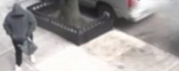 Video shows suspect wanted after 99-year-old man attacked, robbed of $20K in Washington Heights